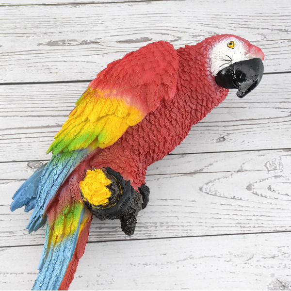 Amazon/Macaw