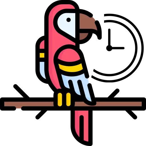 Birds Care Hours