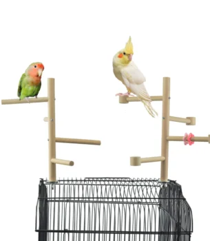 Budgies, Cockatiels