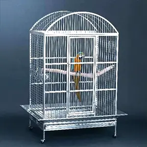 Cages & Stands
