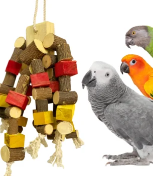 Chew Toys