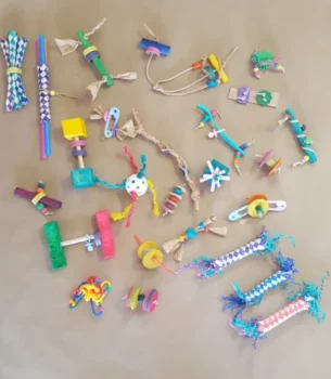 Foot Toys