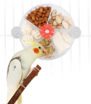 Foraging Enrichment