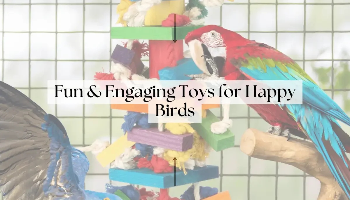 Fun & Engaging Toys for Happy Birds