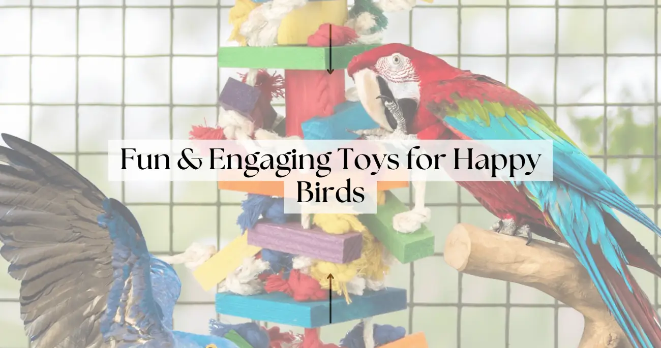Fun & Engaging Toys for Happy Birds