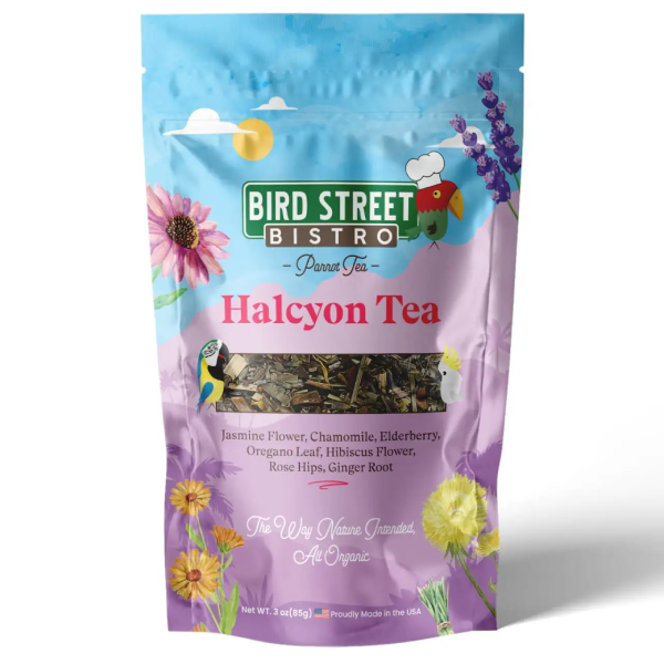 Halcyon Parrot Tea Front