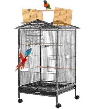 Large Macaw