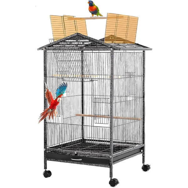 Large Macaw