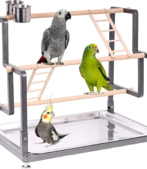 Playtimes in Play Areas