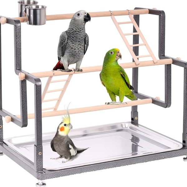 Playtimes in Play Areas