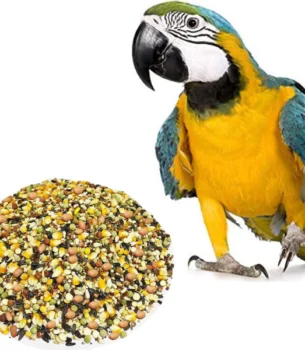 Protein-Rich Snack