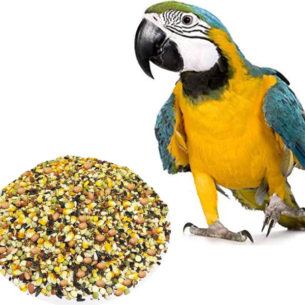 Protein-Rich Snack