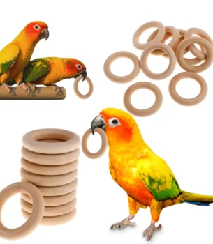 Puzzle Toys