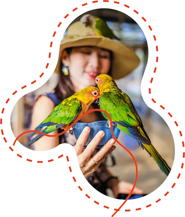 Subscribe-for-Bird-Care-Tips