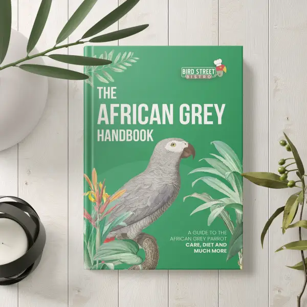 African Grey Parrot Handbook - E-Book Front