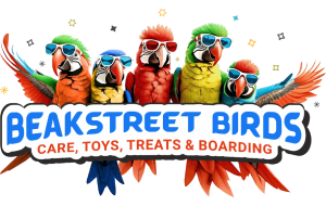 Beakstreet Birds Logo