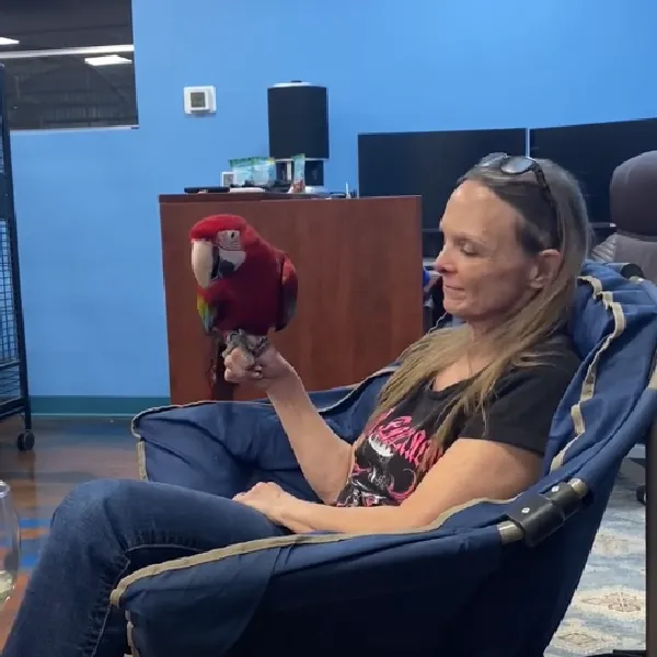 Greenwing Macaw with Cheri