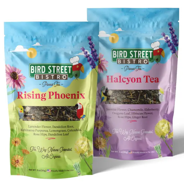 Parrot Tea Bundle Pack Front