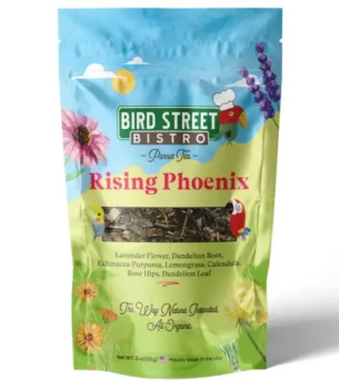 Rising Phoenix Parrot Tea Front
