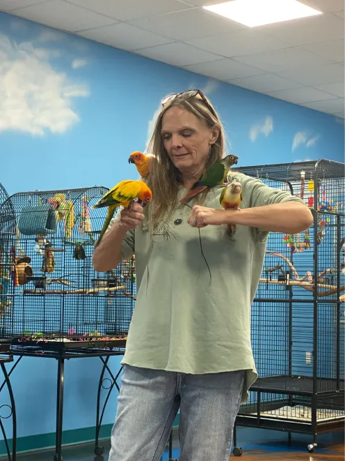 Welcome to Beakstreet Birds