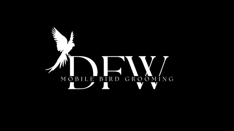 Logo DraftsWebsite 3