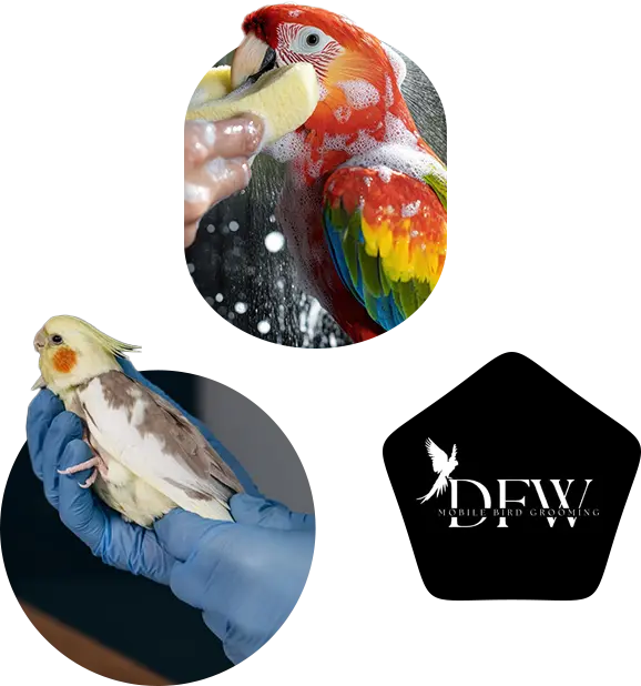 Mobile bird grooming