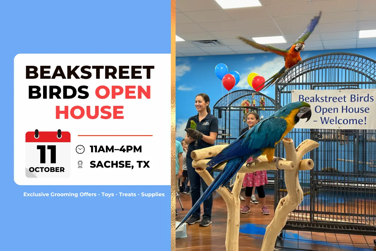Beakstreet Birds Open House – October 11th!